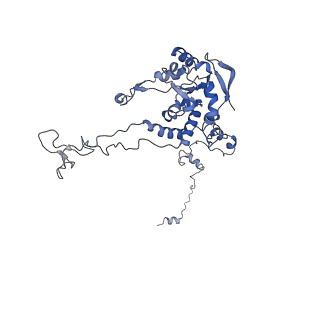 24398_8etc_C_v1-2
Fkbp39 associated nascent 60S ribosome State 4