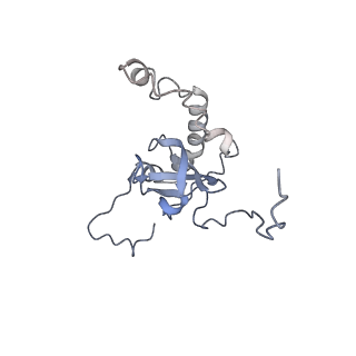 24398_8etc_E_v1-2
Fkbp39 associated nascent 60S ribosome State 4