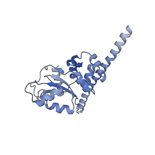 24398_8etc_F_v1-2
Fkbp39 associated nascent 60S ribosome State 4