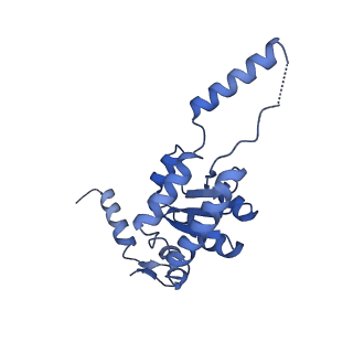 24398_8etc_G_v1-2
Fkbp39 associated nascent 60S ribosome State 4