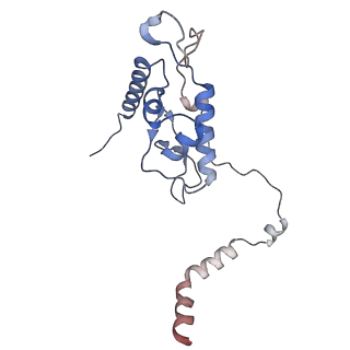 24398_8etc_L_v1-2
Fkbp39 associated nascent 60S ribosome State 4