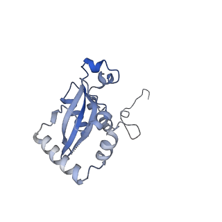 24398_8etc_N_v1-2
Fkbp39 associated nascent 60S ribosome State 4