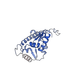 24398_8etc_O_v1-2
Fkbp39 associated nascent 60S ribosome State 4