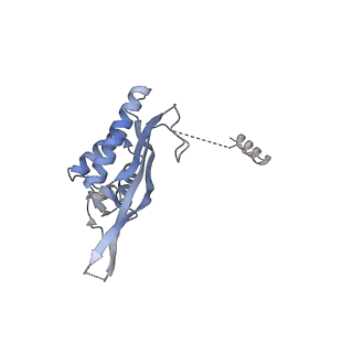 24398_8etc_P_v1-2
Fkbp39 associated nascent 60S ribosome State 4