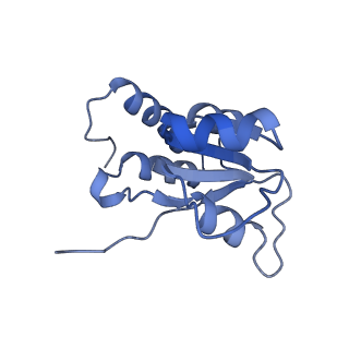 24398_8etc_Q_v1-2
Fkbp39 associated nascent 60S ribosome State 4