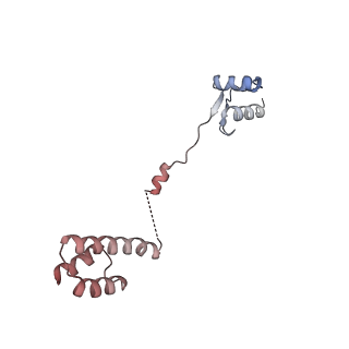 24398_8etc_R_v1-2
Fkbp39 associated nascent 60S ribosome State 4
