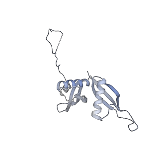 24398_8etc_S_v1-2
Fkbp39 associated nascent 60S ribosome State 4