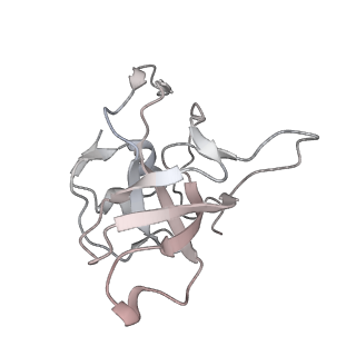 24398_8etc_V_v1-2
Fkbp39 associated nascent 60S ribosome State 4