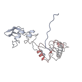 24398_8etc_W_v1-2
Fkbp39 associated nascent 60S ribosome State 4