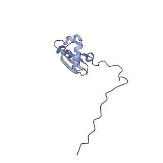 24398_8etc_X_v1-2
Fkbp39 associated nascent 60S ribosome State 4