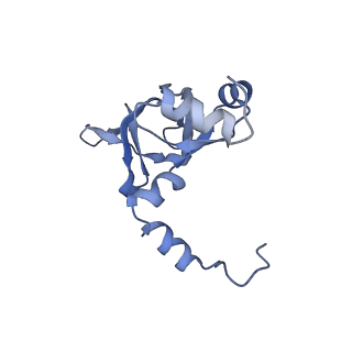 24398_8etc_Y_v1-2
Fkbp39 associated nascent 60S ribosome State 4