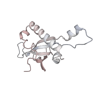 24398_8etc_Z_v1-2
Fkbp39 associated nascent 60S ribosome State 4