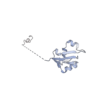 24398_8etc_a_v1-2
Fkbp39 associated nascent 60S ribosome State 4