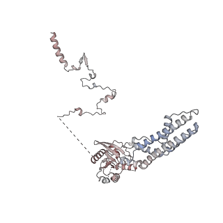 24398_8etc_b_v1-2
Fkbp39 associated nascent 60S ribosome State 4