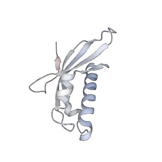 24398_8etc_d_v1-2
Fkbp39 associated nascent 60S ribosome State 4