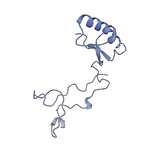 24398_8etc_e_v1-2
Fkbp39 associated nascent 60S ribosome State 4