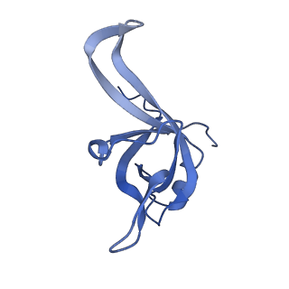 24398_8etc_f_v1-2
Fkbp39 associated nascent 60S ribosome State 4