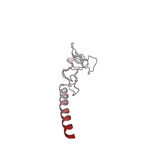24398_8etc_g_v1-2
Fkbp39 associated nascent 60S ribosome State 4