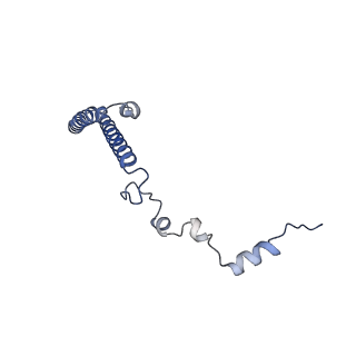 24398_8etc_h_v1-2
Fkbp39 associated nascent 60S ribosome State 4