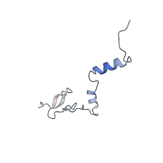 24398_8etc_j_v1-2
Fkbp39 associated nascent 60S ribosome State 4