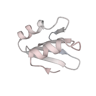 24398_8etc_k_v1-2
Fkbp39 associated nascent 60S ribosome State 4