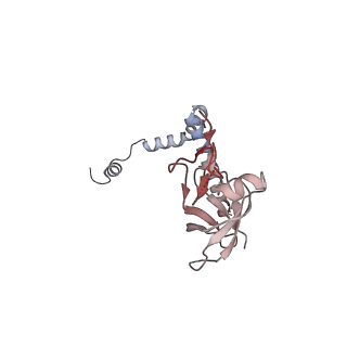 24398_8etc_r_v1-2
Fkbp39 associated nascent 60S ribosome State 4