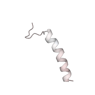 24398_8etc_s_v1-2
Fkbp39 associated nascent 60S ribosome State 4