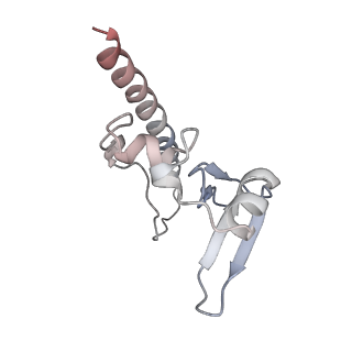 24398_8etc_u_v1-2
Fkbp39 associated nascent 60S ribosome State 4