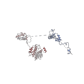 24398_8etc_w_v1-2
Fkbp39 associated nascent 60S ribosome State 4