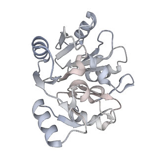 24398_8etc_y_v1-2
Fkbp39 associated nascent 60S ribosome State 4