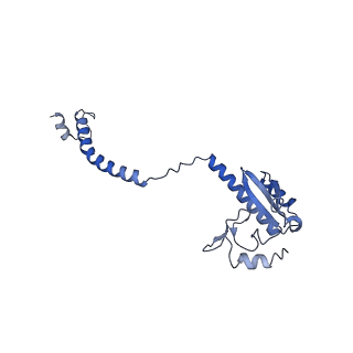 24409_8eth_3_v1-2
Ytm1 associated 60S nascent ribosome State 1B