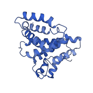 24409_8eth_4_v1-2
Ytm1 associated 60S nascent ribosome State 1B