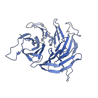 24409_8eth_5_v1-2
Ytm1 associated 60S nascent ribosome State 1B