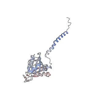 24409_8eth_A_v1-2
Ytm1 associated 60S nascent ribosome State 1B
