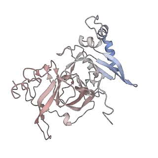 24409_8eth_B_v1-2
Ytm1 associated 60S nascent ribosome State 1B