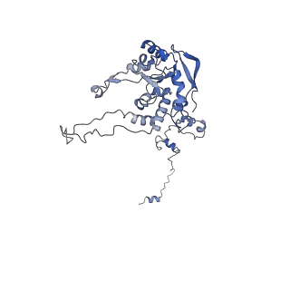 24409_8eth_C_v1-2
Ytm1 associated 60S nascent ribosome State 1B