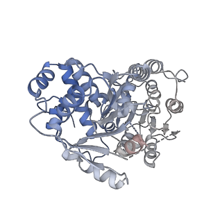 24409_8eth_D_v1-2
Ytm1 associated 60S nascent ribosome State 1B