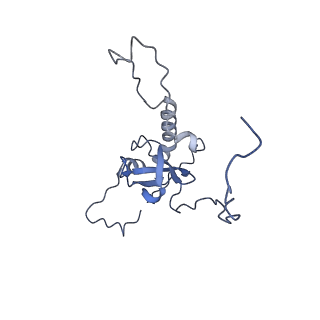 24409_8eth_E_v1-2
Ytm1 associated 60S nascent ribosome State 1B