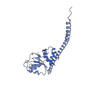 24409_8eth_F_v1-2
Ytm1 associated 60S nascent ribosome State 1B