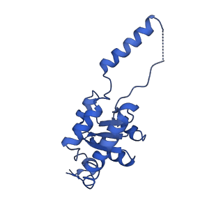 24409_8eth_G_v1-2
Ytm1 associated 60S nascent ribosome State 1B