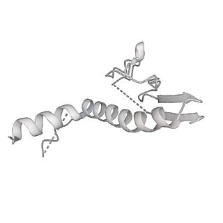 24409_8eth_H_v1-2
Ytm1 associated 60S nascent ribosome State 1B