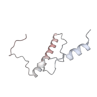 24409_8eth_J_v1-2
Ytm1 associated 60S nascent ribosome State 1B