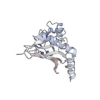 24409_8eth_K_v1-2
Ytm1 associated 60S nascent ribosome State 1B