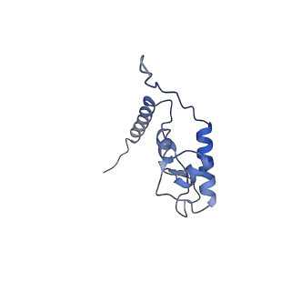 24409_8eth_L_v1-2
Ytm1 associated 60S nascent ribosome State 1B