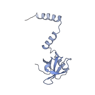 24409_8eth_M_v1-2
Ytm1 associated 60S nascent ribosome State 1B