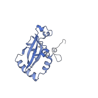 24409_8eth_N_v1-2
Ytm1 associated 60S nascent ribosome State 1B