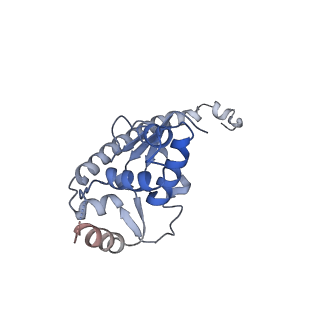 24409_8eth_O_v1-2
Ytm1 associated 60S nascent ribosome State 1B