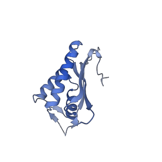 24409_8eth_P_v1-2
Ytm1 associated 60S nascent ribosome State 1B
