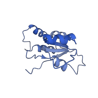 24409_8eth_Q_v1-2
Ytm1 associated 60S nascent ribosome State 1B