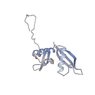 24409_8eth_S_v1-2
Ytm1 associated 60S nascent ribosome State 1B